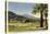 Thunderbird County Club, Palm Springs-null-Stretched Canvas