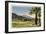 Thunderbird County Club, Palm Springs-null-Framed Art Print