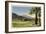 Thunderbird County Club, Palm Springs-null-Framed Premium Giclee Print