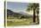 Thunderbird County Club, Palm Springs-null-Stretched Canvas