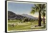 Thunderbird County Club, Palm Springs-null-Framed Stretched Canvas