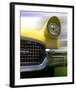 Thunderbird-Richard James-Framed Art Print