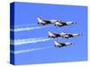 Thunderbirds 8-Michael Polk-Stretched Canvas