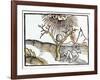 Thunderbolt or Lightning, 1508-null-Framed Giclee Print