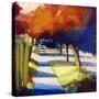 Thunderclouds-Lou Wall-Stretched Canvas