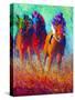 Thundering Hooves-Marion Rose-Stretched Canvas