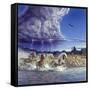 Thundering Hooves-John Van Straalen-Framed Stretched Canvas