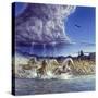 Thundering Hooves-John Van Straalen-Stretched Canvas
