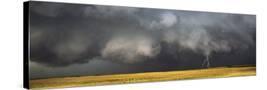Stretched Canvas