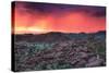 Thunderstorm at Sunset in Damaraland-Circumnavigation-Stretched Canvas