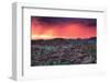 Thunderstorm at Sunset in Damaraland-Circumnavigation-Framed Photographic Print