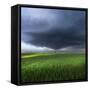 Thunderstorm Cell Over the Alb Plateau-Franz Schumacher-Framed Stretched Canvas