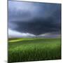 Thunderstorm Cell Over the Alb Plateau-Franz Schumacher-Mounted Photographic Print