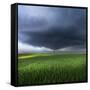 Thunderstorm Cell Over the Alb Plateau-Franz Schumacher-Framed Stretched Canvas