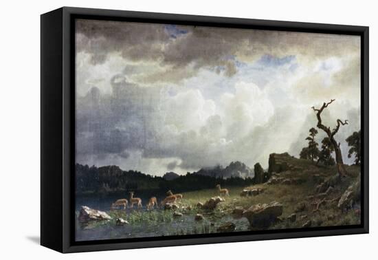 Thunderstorm in the Rocky Mountains-Albert Bierstadt-Framed Stretched Canvas