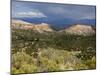 Thunderstorm Near Los Alamos, New Mexico, United States of America, North America-Richard Cummins-Mounted Photographic Print