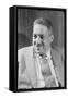 Thurgood Marshall-null-Framed Stretched Canvas