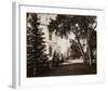 Thurlow Lodge, Menlo Park, California - Lawn and House, 1874-Carleton Watkins-Framed Art Print