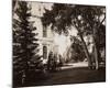 Thurlow Lodge, Menlo Park, California - Lawn and House, 1874-Carleton Watkins-Mounted Art Print