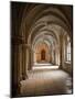 Thurn Und Taxis Palace Regensburg, Germany-Michael DeFreitas-Mounted Photographic Print