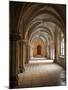 Thurn Und Taxis Palace Regensburg, Germany-Michael DeFreitas-Mounted Photographic Print