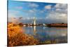 Thurne Mill, Norfolk Broads, Norfolk-Geraint Tellem-Stretched Canvas