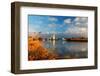 Thurne Mill, Norfolk Broads, Norfolk-Geraint Tellem-Framed Photographic Print