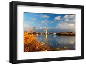 Thurne Mill, Norfolk Broads, Norfolk-Geraint Tellem-Framed Photographic Print