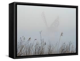 Thurne Mill viewed through the mist at Thurne, Norfolk, England, United Kingdom, Europe-Jon Gibbs-Framed Stretched Canvas