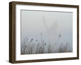 Thurne Mill viewed through the mist at Thurne, Norfolk, England, United Kingdom, Europe-Jon Gibbs-Framed Photographic Print