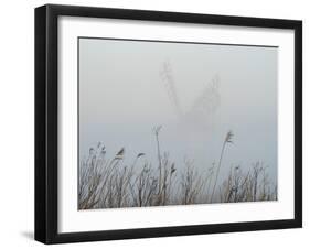 Thurne Mill viewed through the mist at Thurne, Norfolk, England, United Kingdom, Europe-Jon Gibbs-Framed Photographic Print