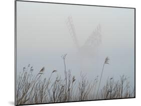 Thurne Mill viewed through the mist at Thurne, Norfolk, England, United Kingdom, Europe-Jon Gibbs-Mounted Photographic Print