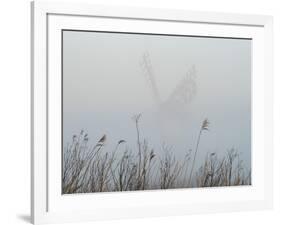 Thurne Mill viewed through the mist at Thurne, Norfolk, England, United Kingdom, Europe-Jon Gibbs-Framed Photographic Print