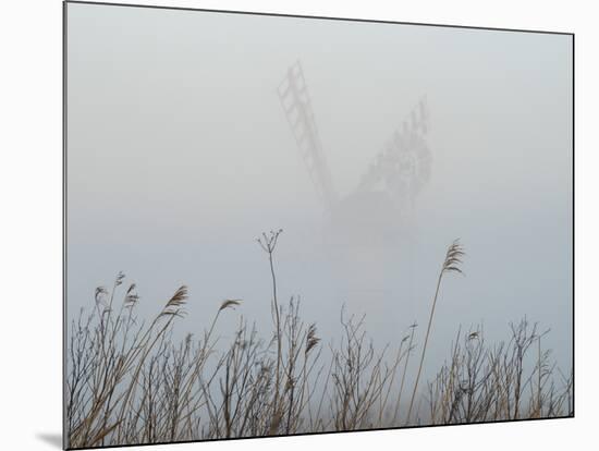 Thurne Mill viewed through the mist at Thurne, Norfolk, England, United Kingdom, Europe-Jon Gibbs-Mounted Photographic Print