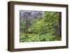 Thurston Lava Tube Trail, Hawaii Volcanoes National Park, Big Island, Hawaii-Stuart Westmorland-Framed Photographic Print