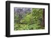 Thurston Lava Tube Trail, Hawaii Volcanoes National Park, Big Island, Hawaii-Stuart Westmorland-Framed Photographic Print