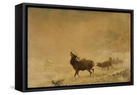 Thus Far, 1883-Thomas Henry Gibb-Framed Stretched Canvas