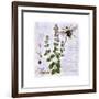 Thyme Herb-Tina Lavoie-Framed Giclee Print