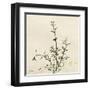 Thyme Moment-Albert Koetsier-Framed Art Print