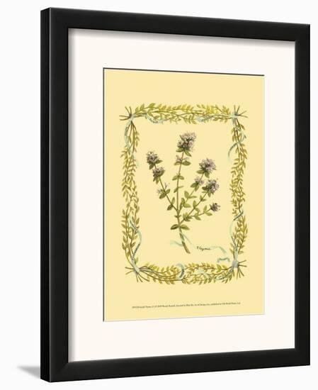 Thyme-Wendy Russell-Framed Art Print