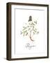 Thyme-Irina Trzaskos Studio-Framed Giclee Print