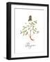 Thyme-Irina Trzaskos Studio-Framed Giclee Print