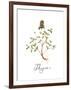 Thyme-Irina Trzaskos Studio-Framed Giclee Print