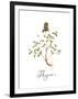 Thyme-Irina Trzaskos Studio-Framed Giclee Print