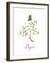 Thyme-Irina Trzaskos Studio-Framed Giclee Print