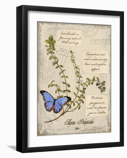 Thyme-Kate Ward Thacker-Framed Giclee Print