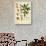 Thymelaeaceae-Vintage Lavoie-Stretched Canvas displayed on a wall