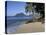 Ti Coco Beach, Baie De La Chery (Chery Bay), Martinique, West Indies, Caribbean, Central America-Guy Thouvenin-Stretched Canvas