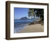 Ti Coco Beach, Baie De La Chery (Chery Bay), Martinique, West Indies, Caribbean, Central America-Guy Thouvenin-Framed Photographic Print