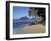 Ti Coco Beach, Baie De La Chery (Chery Bay), Martinique, West Indies, Caribbean, Central America-Guy Thouvenin-Framed Photographic Print